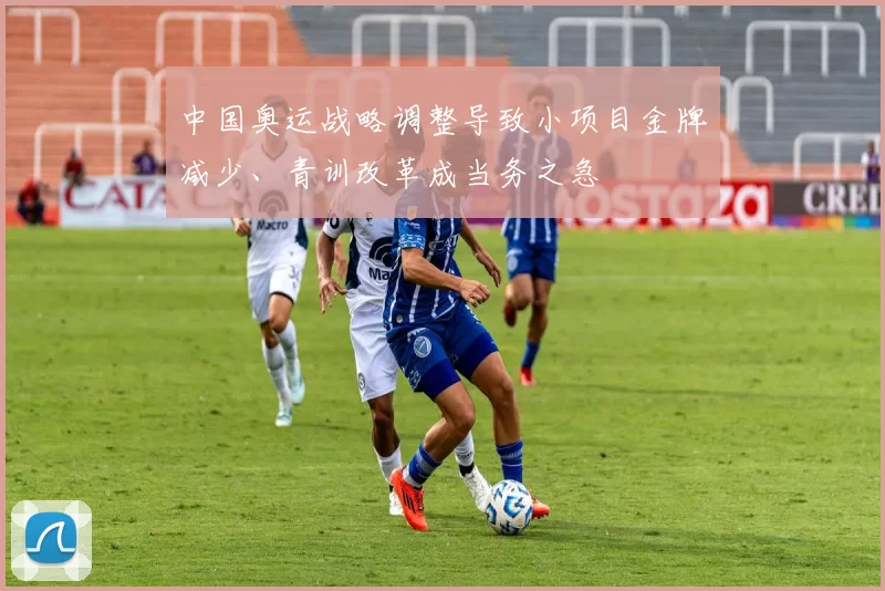 中国奥运战略调整导致小项目金牌减少、青训改革成当务之急